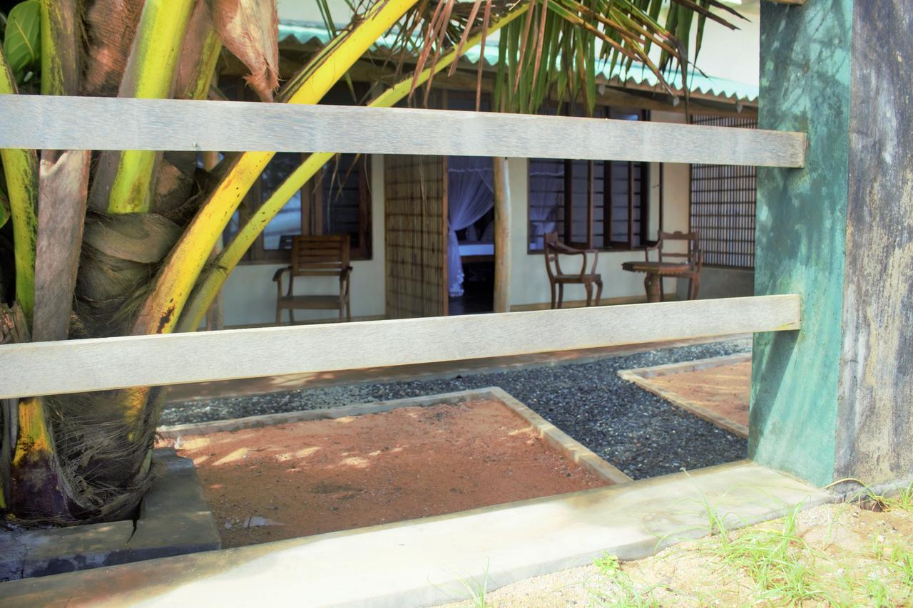 Asiri Yoga Retreat Otel Kadurupe Dış mekan fotoğraf